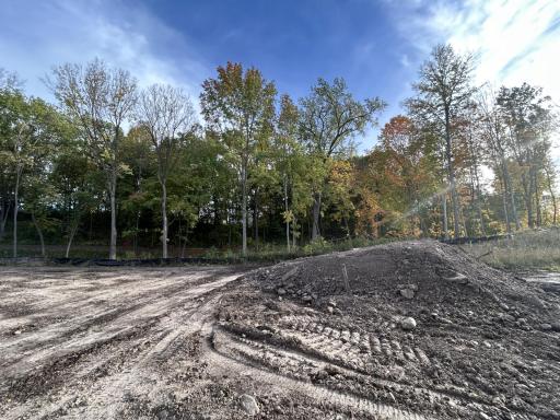 (Photo is of the actual backyard in progress.)