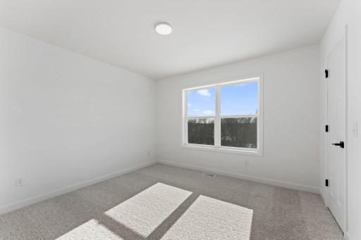 1927 Ravine Road, Carver, MN 55315