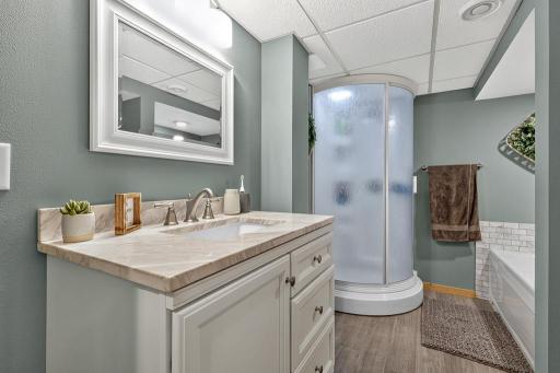 Lower level full bathroom