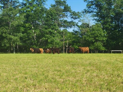 9800 253rd Avenue NE, Stacy, MN 55079