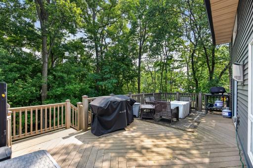 401 Orleans Court N, Champlin, MN 55316