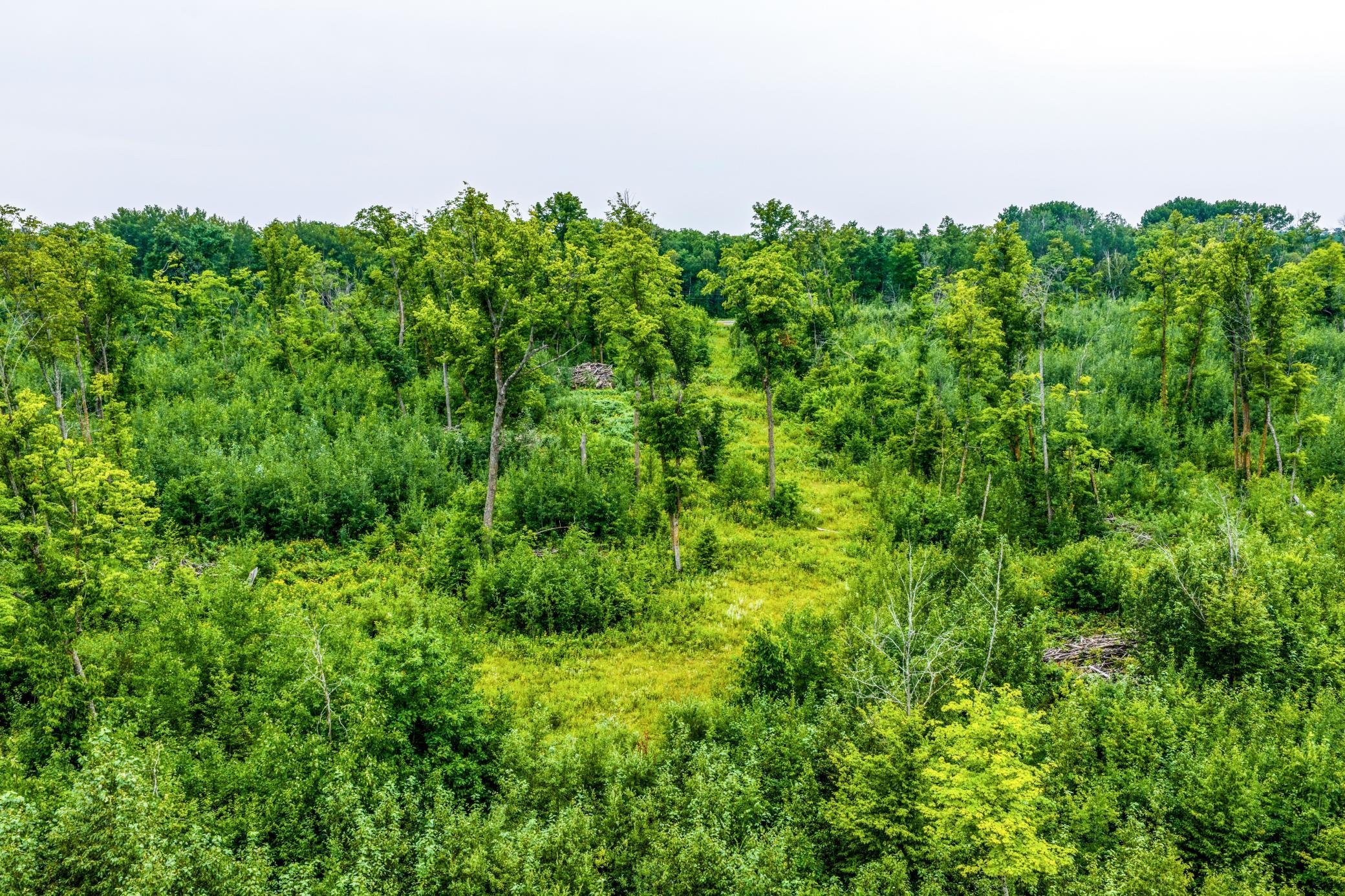 DJI_20260803113457_0432_D.jpg