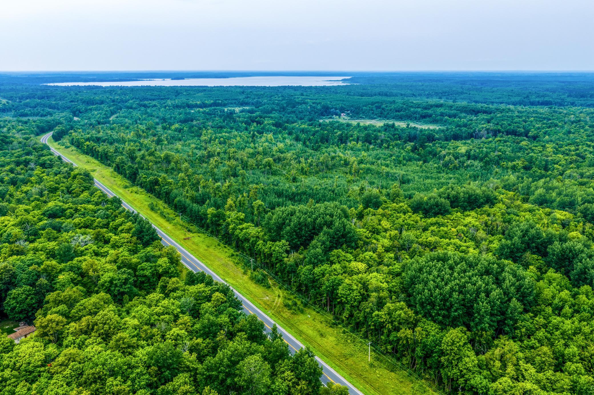 DJI_20260803112723_0394_D.jpg