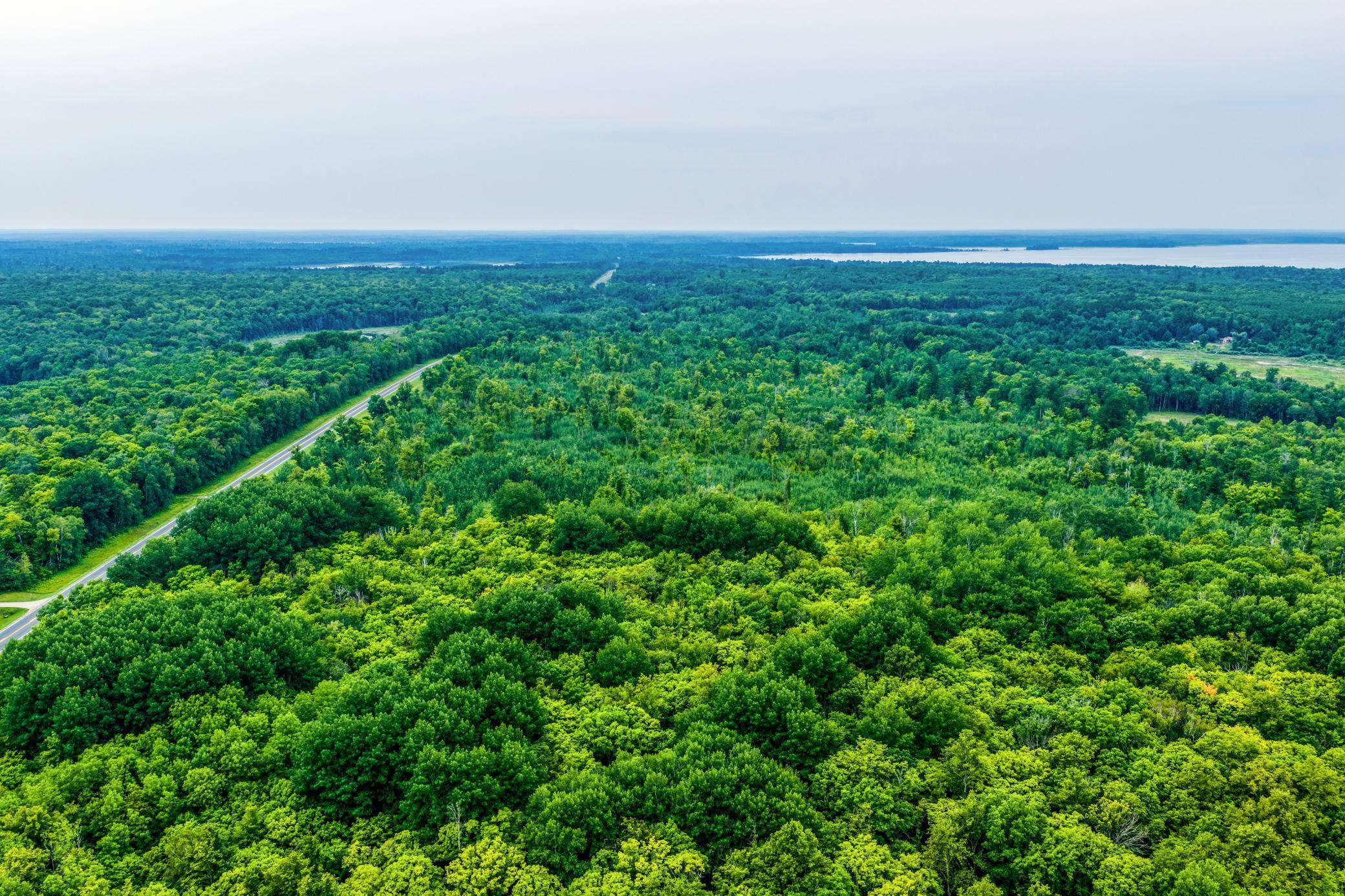 DJI_20260803113822_0454_D.jpg
