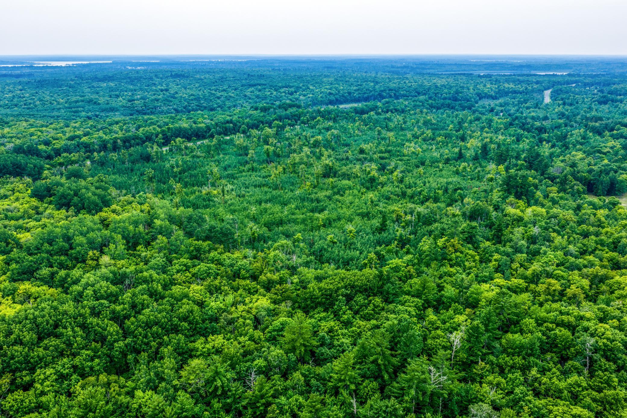DJI_20260803112949_0400_D.jpg