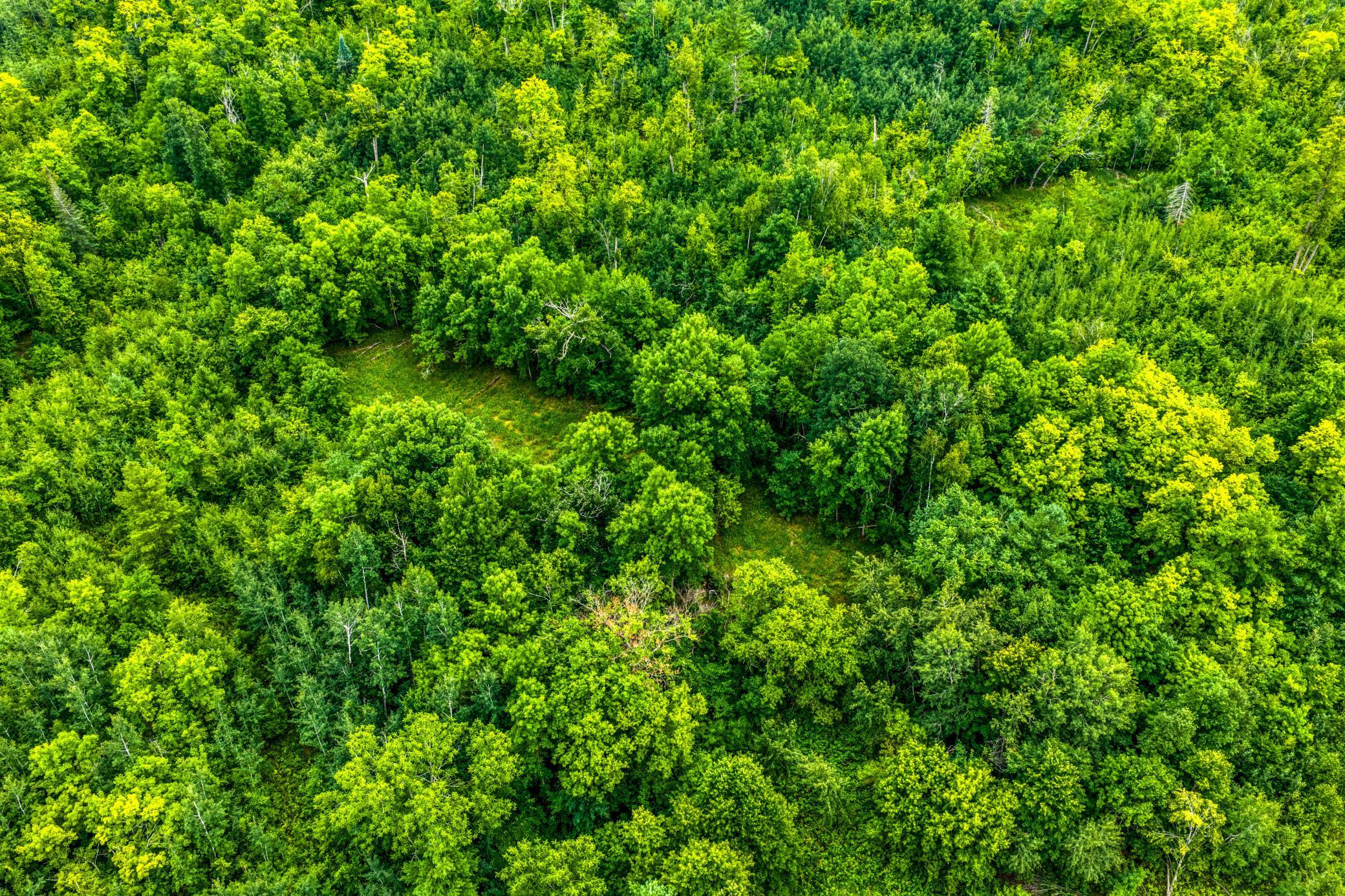 DJI_20260803115106_0493_D.jpg