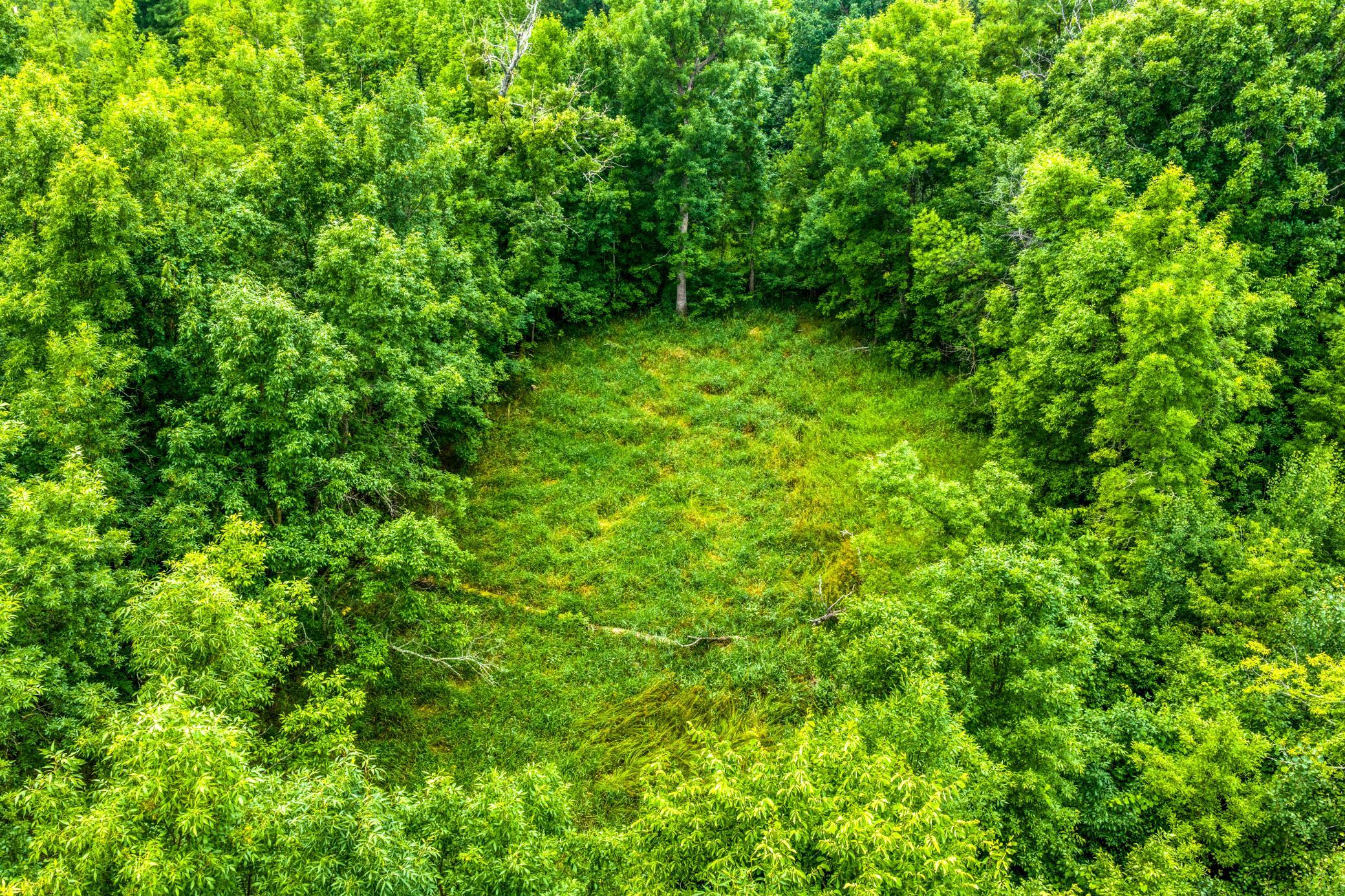 DJI_20260803113355_0424_D.jpg