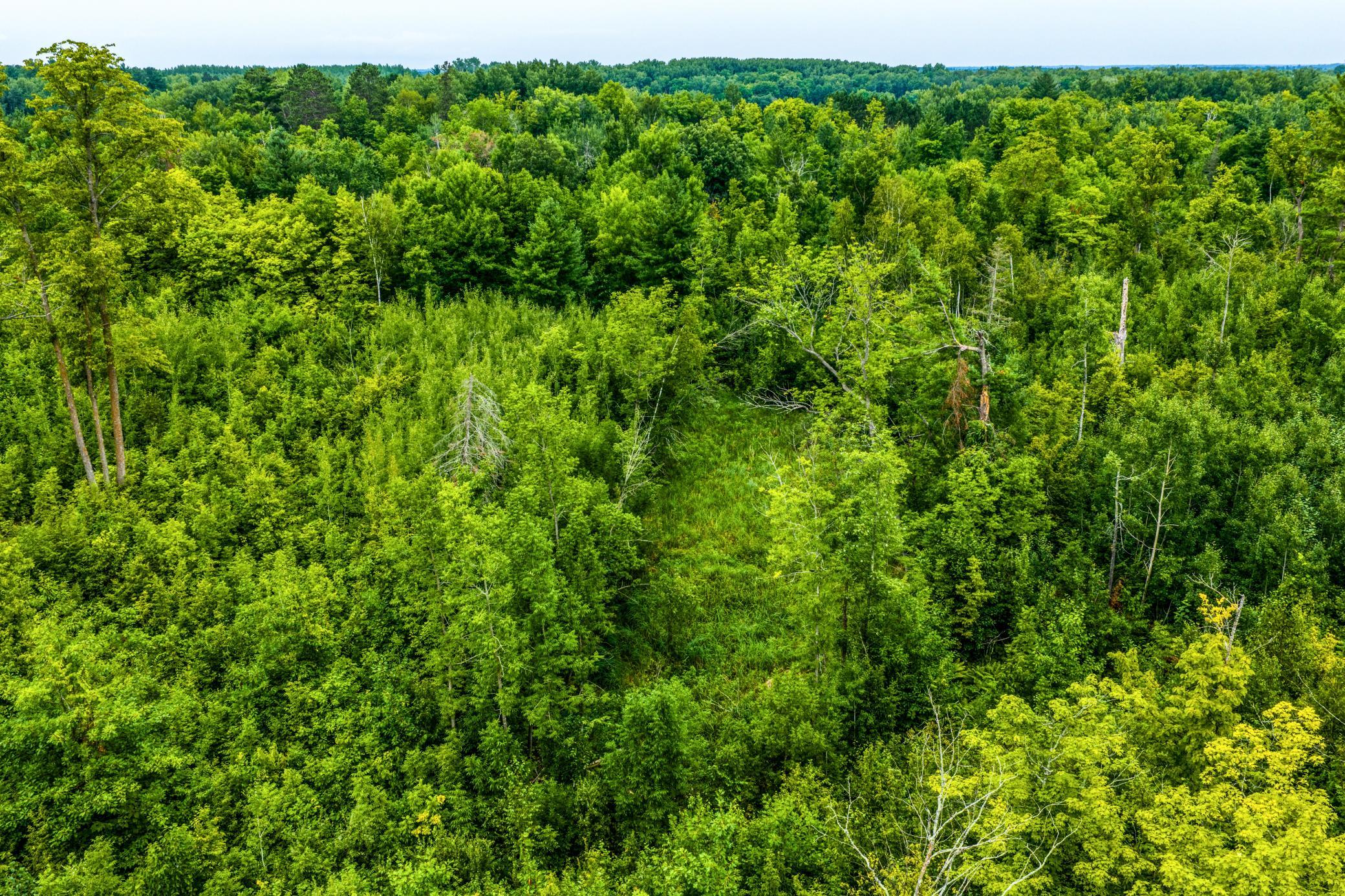 DJI_20260803115200_0498_D.jpg