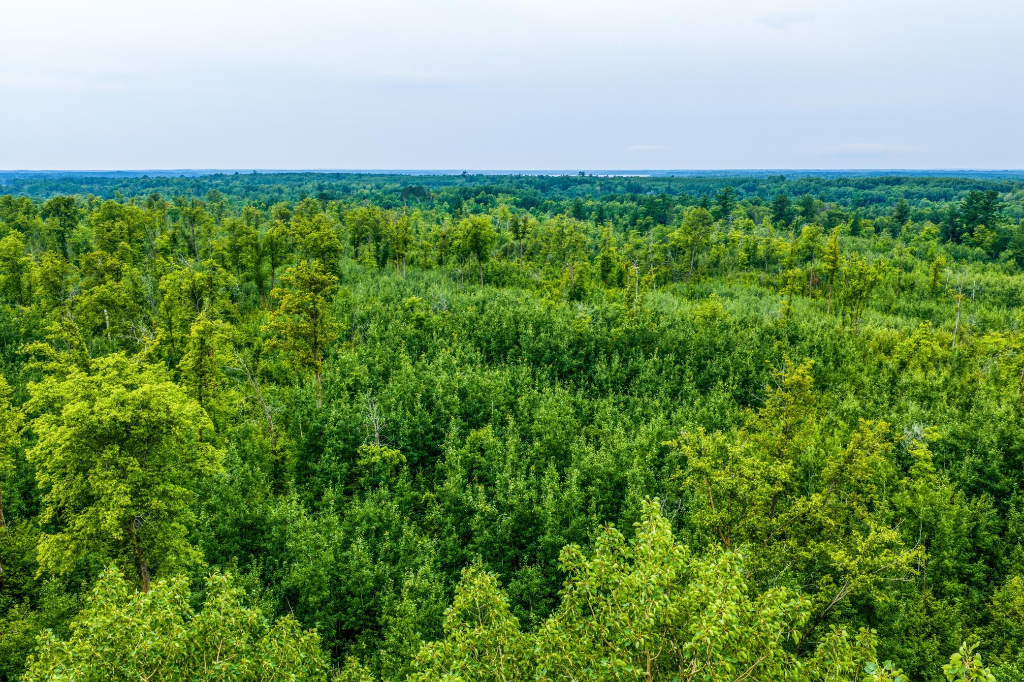 DJI_20260803113610_0442_D.jpg