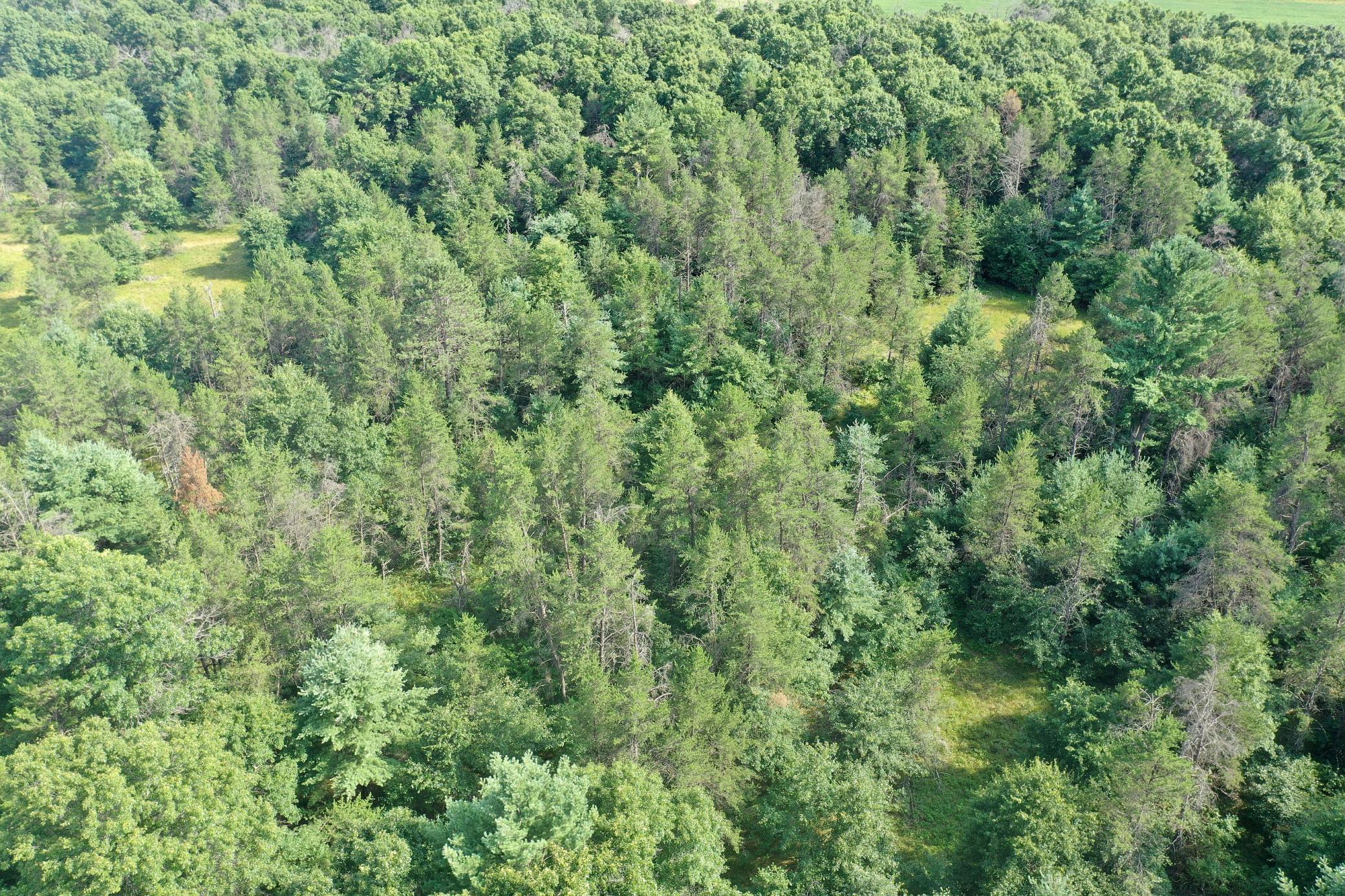 Property photo for S13160 Camp Road, Fairchild, WI 54741