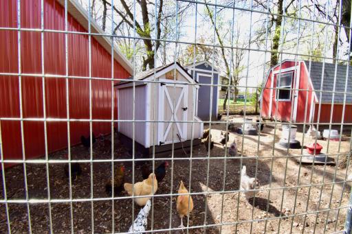 Chicken Coops -Blue/Grey and Red are Staying with Property