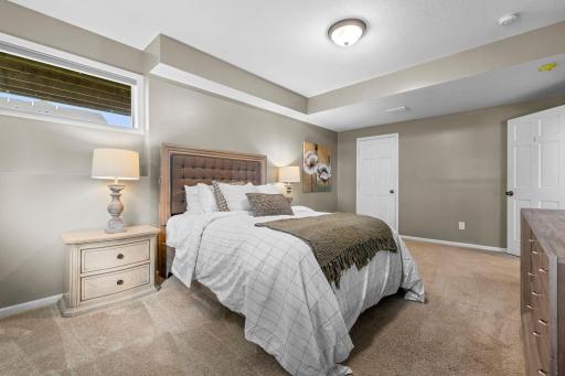 Fourth bedroom on the lower level overlooking the side and backyard, featuring a spacious walk-in closet.