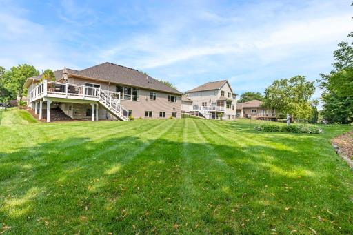 Expansive backyard with plenty of room to grow and play.