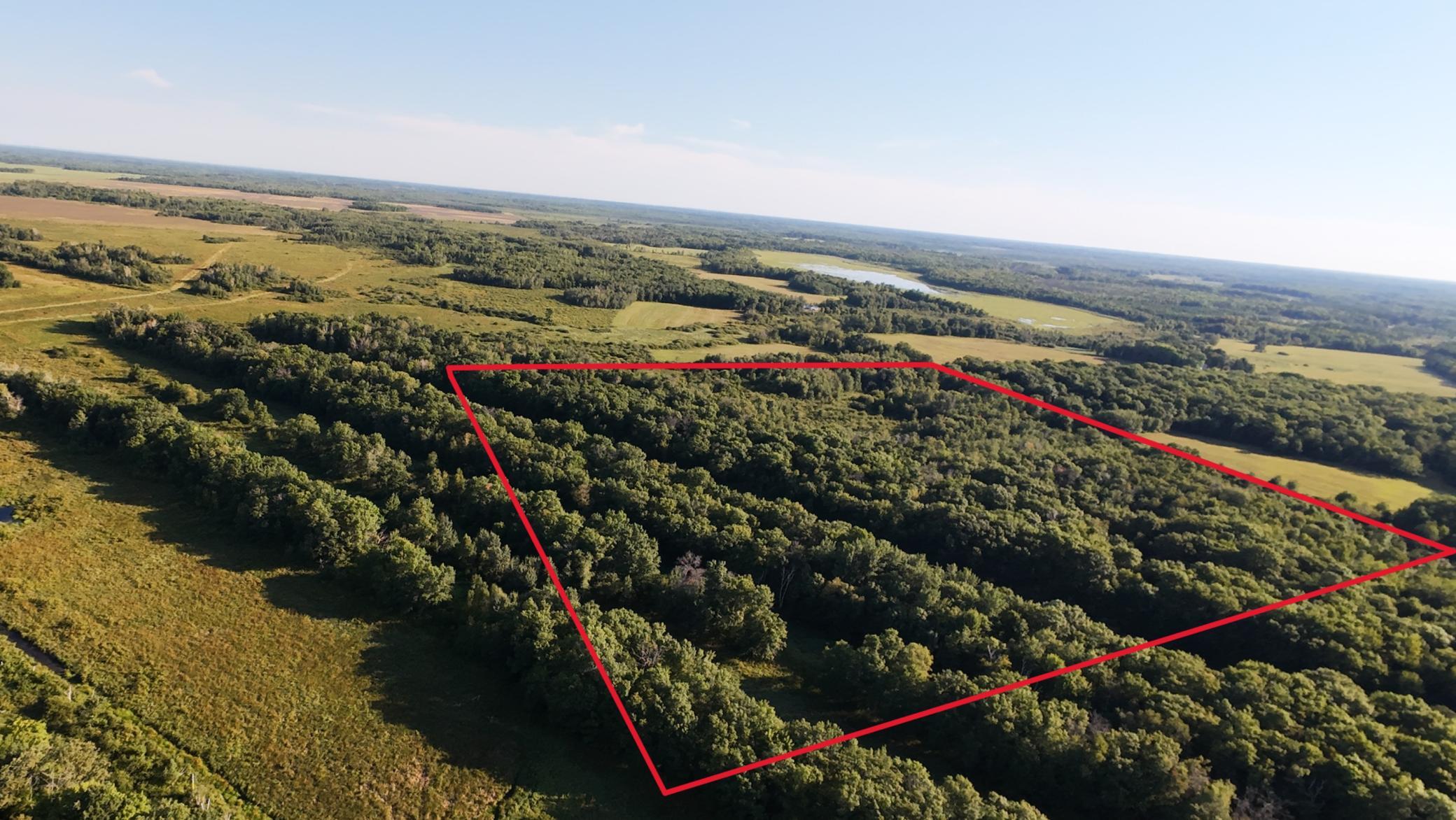 Approximate Lot Lines Looking NE