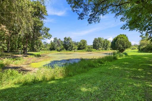 Backyard pond that hosts countless waterfowl families year after year- with deer, bear, and other wildlife.