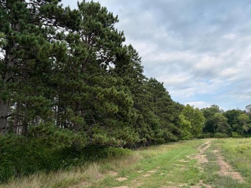Welcome to Lot 2 Maple Ridge Pines!