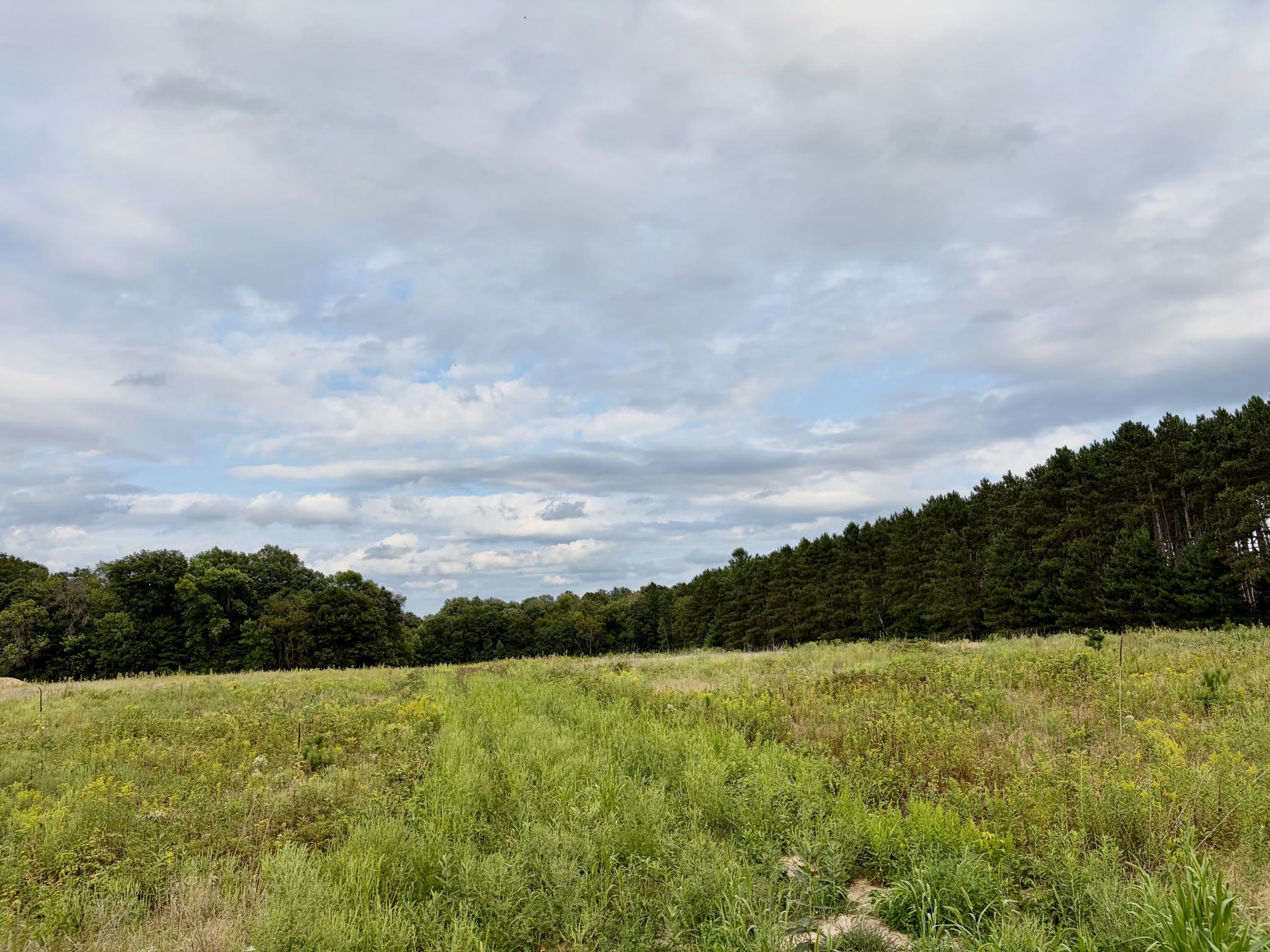 Property photo for (Lot 3) TBD Tulip Street NW, Stanchfield, MN 55080