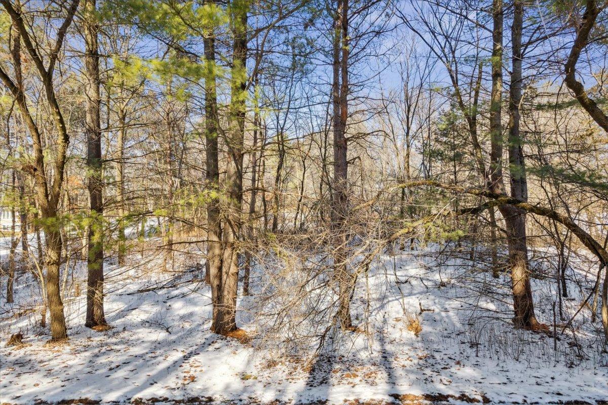 Property photo for XXX 89th St. N., Grant, MN 55115