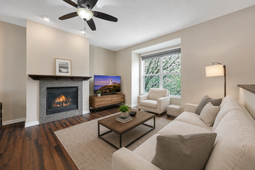 Enjoy Fireplace - Virtually Staged