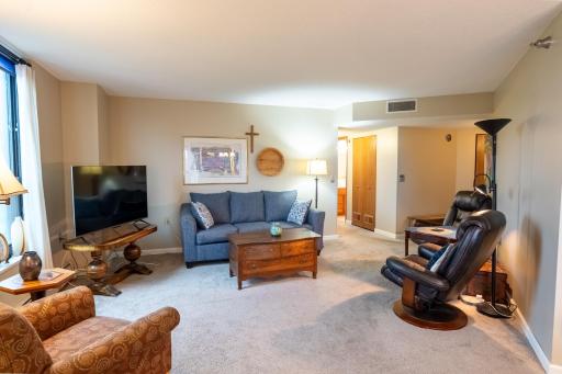 Big living room with huge windows overlooking Woodlake Nature center.