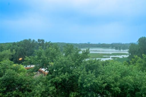 Amazing Woodlake Views from every window. It is even beautiful on a rainy day. Imagine a sunny summer day or a bright winter day.