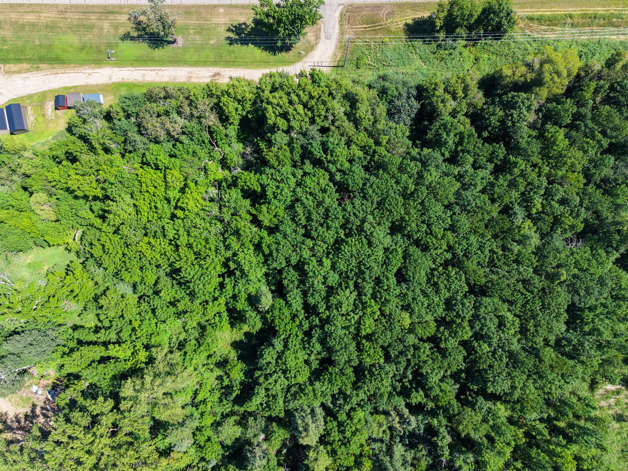 20260805-DJI_20260805122509_0169_D.jpg
