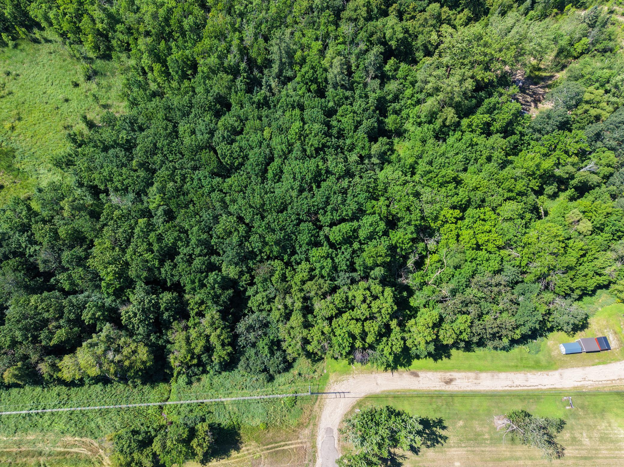 20260805-DJI_20260805121847_0147_D.jpg