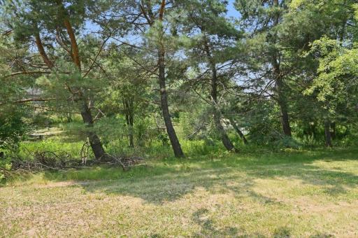 The back of the lot looking towards the pond.