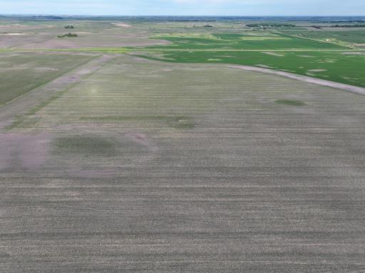 TBD Co Rd 11, Sanborn, ND 58072