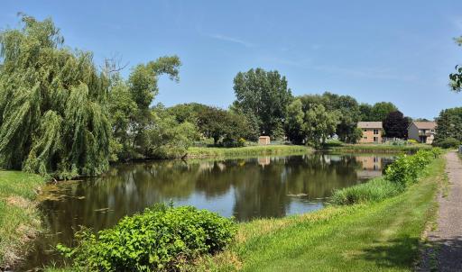 Pond with walking path right outside backyard