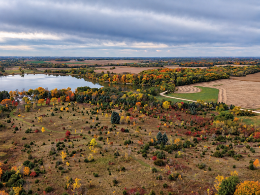 Autumn Countryside Lake Vista.png