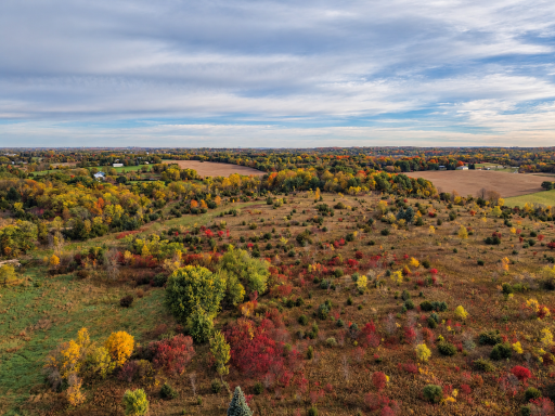Autumn Countryside Aerial Vista (1).png