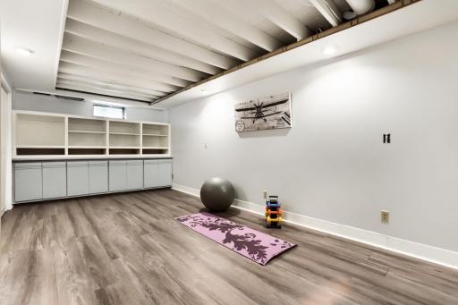 Lower level Family Room is wide open with new flooring. Built in shelving provides storage and display space.