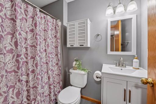 Lower level 3/4 bathroom.