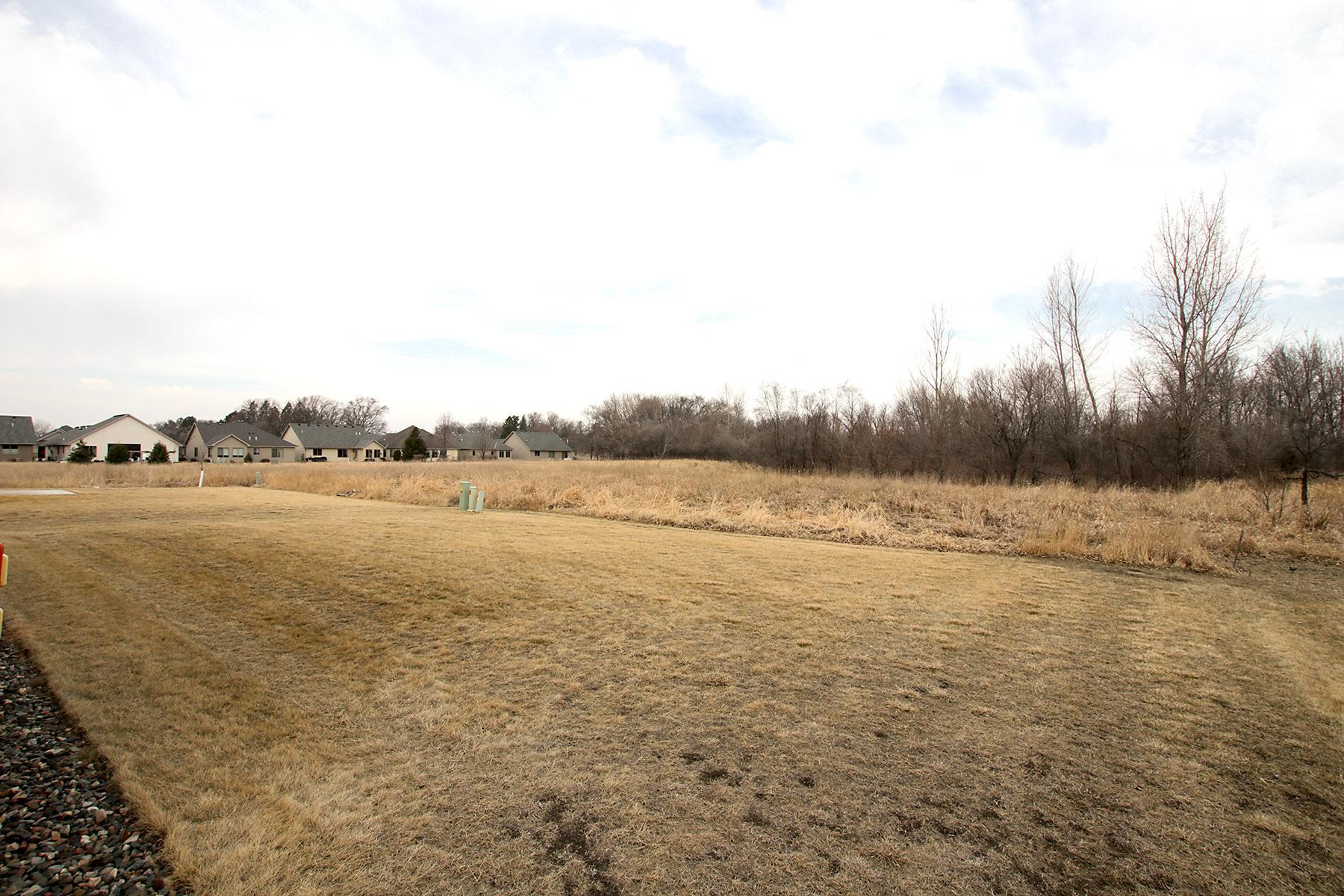 backyard.jpg