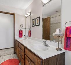 dual sinks