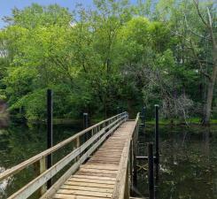 picturesque trails