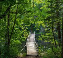 walking bridge
