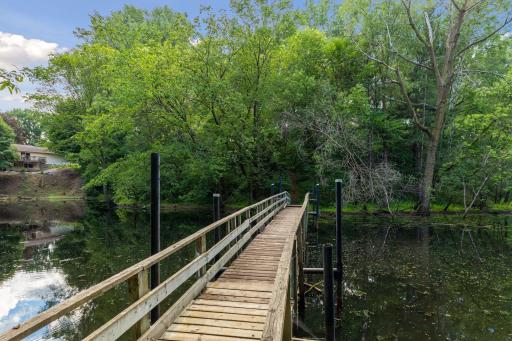 serene nature walks