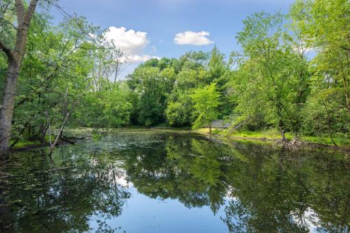 3 ponds