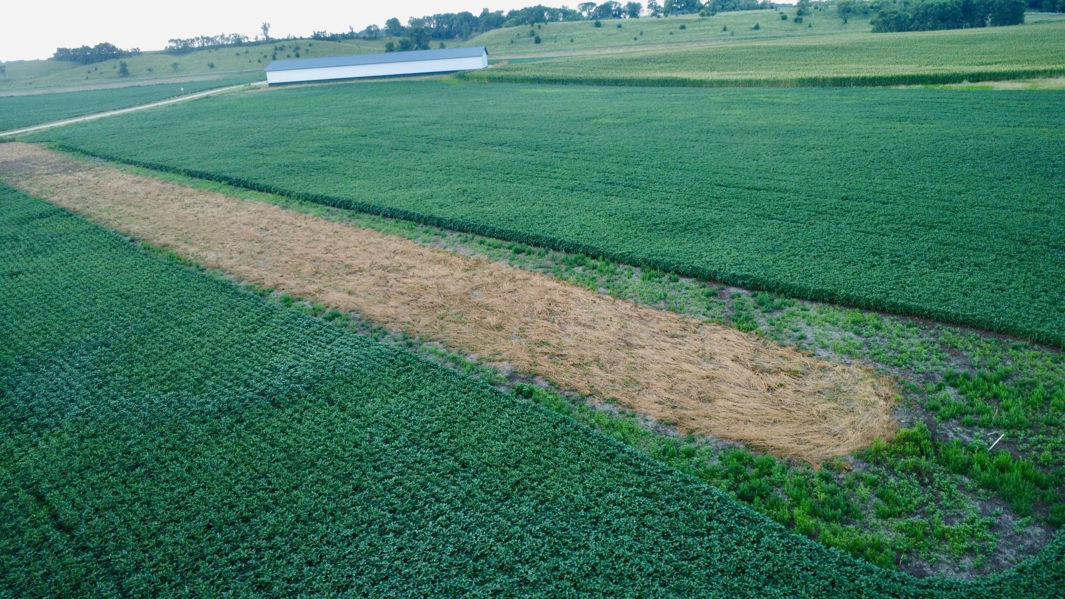 DJI_0252.jpg