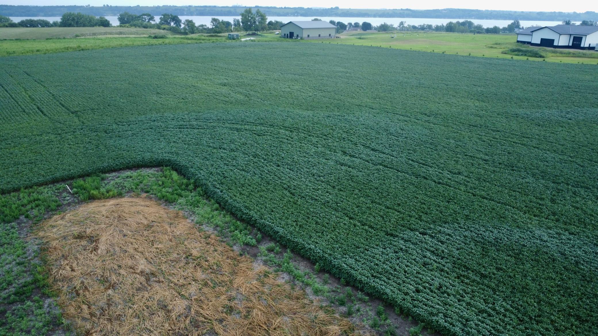 DJI_0250.jpg