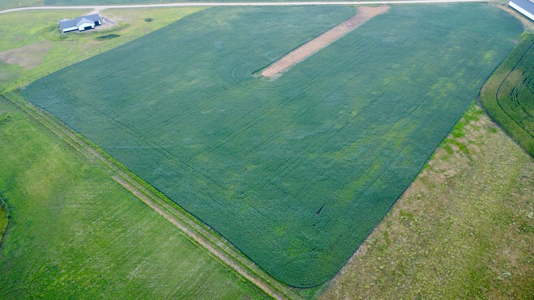 DJI_0248.jpg