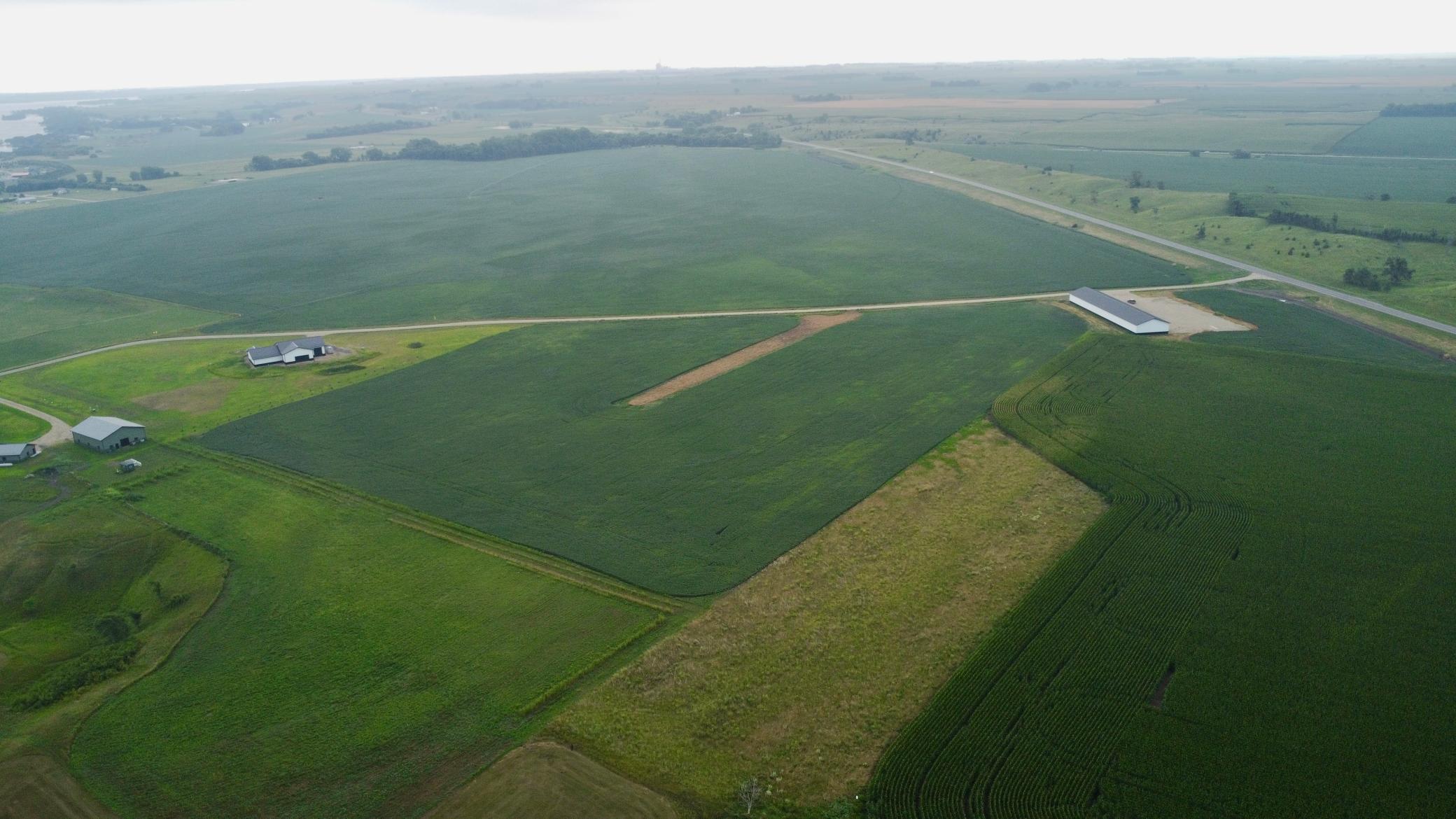DJI_0246.jpg