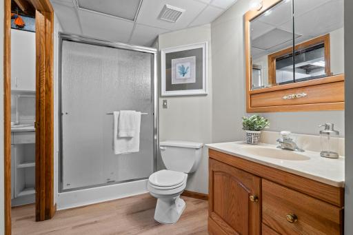 Lower level 3/4 bathroom with a walk in shower and linen cabinet.