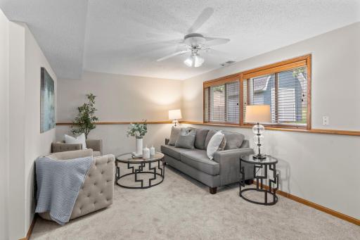 Lower-level family room, perfect for relaxing and entertaining.