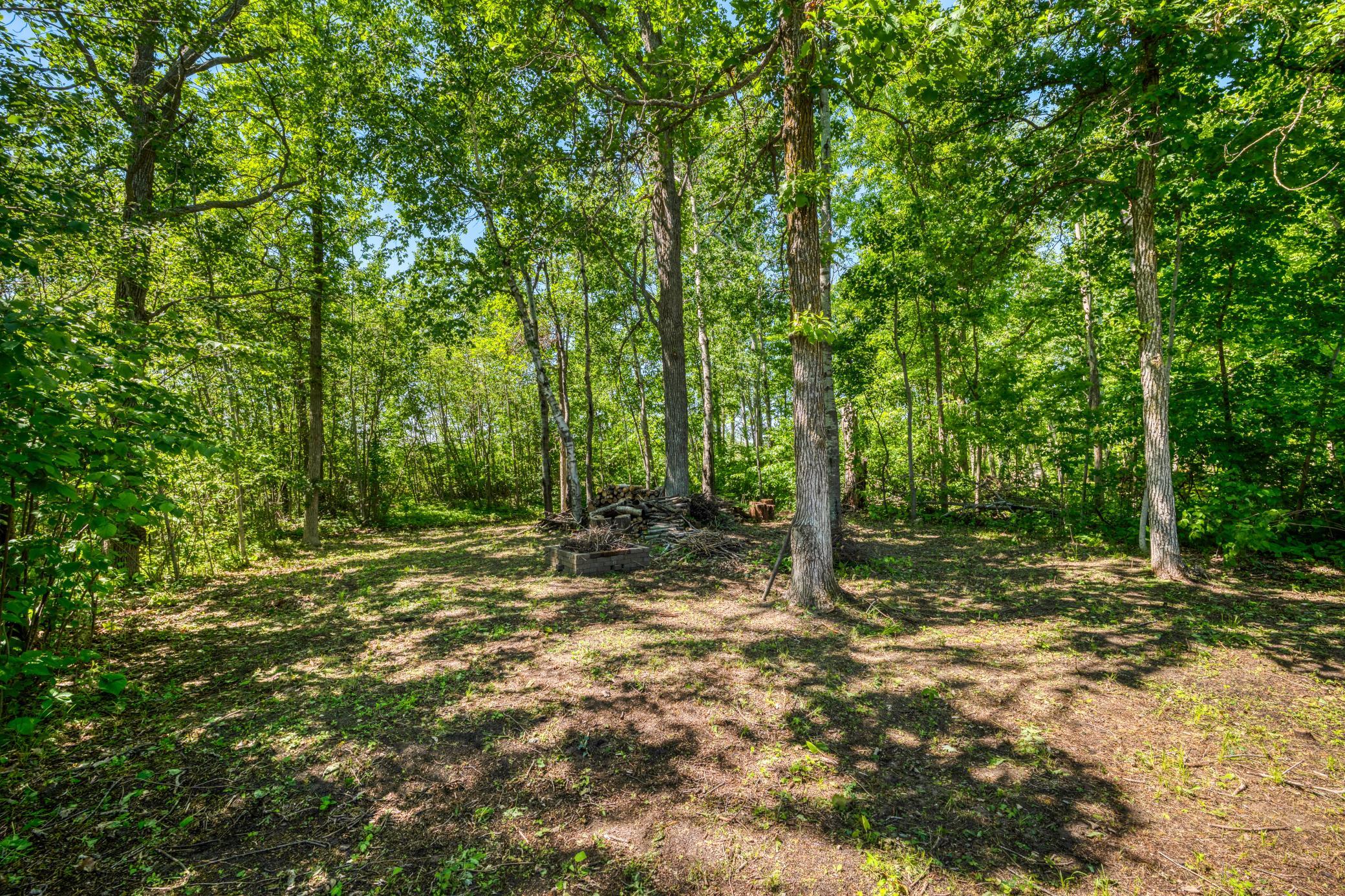 16634 Hightop mature trees.jpg