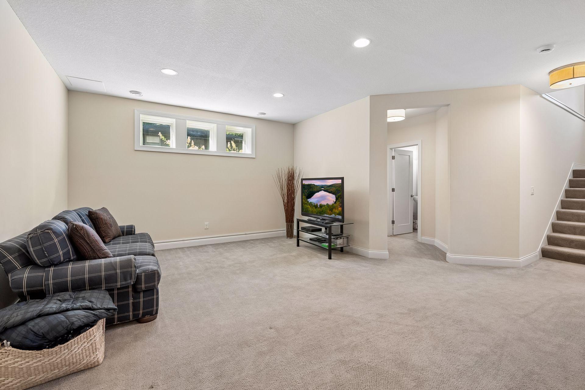 Lower level family room