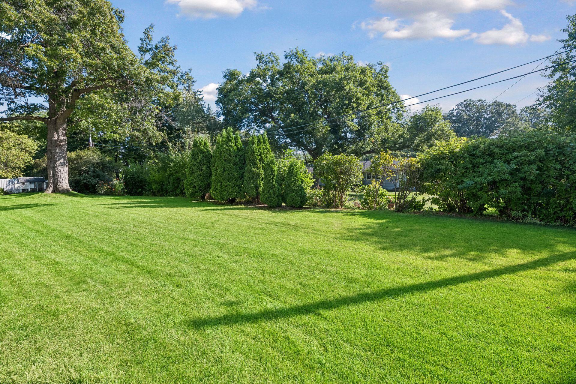 Great backyard