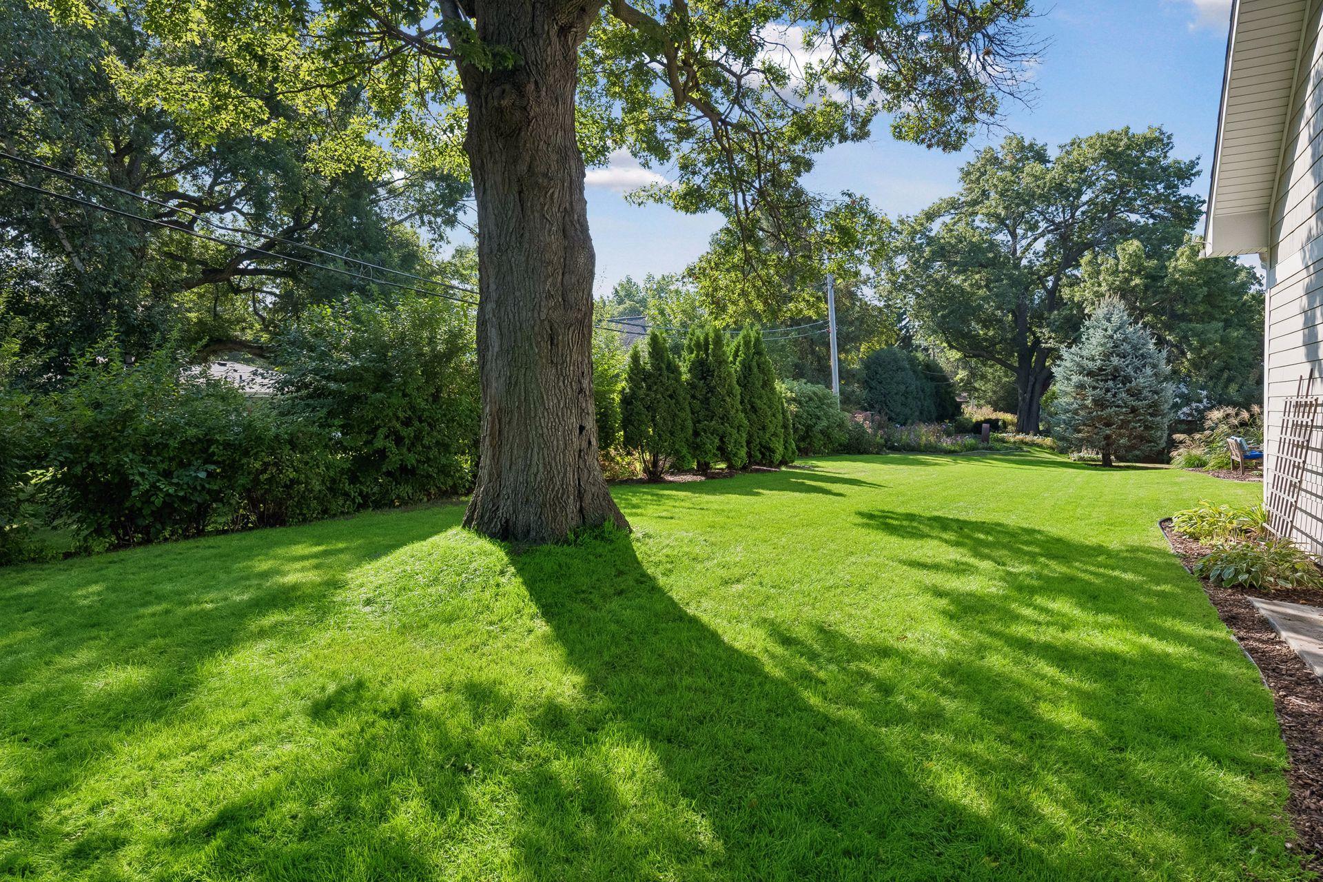 Very private backyard